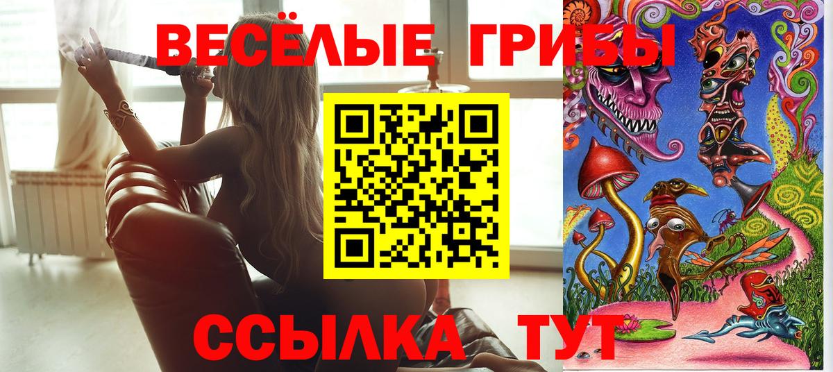 Псилоцибиновые грибы мухоморы Энгельс