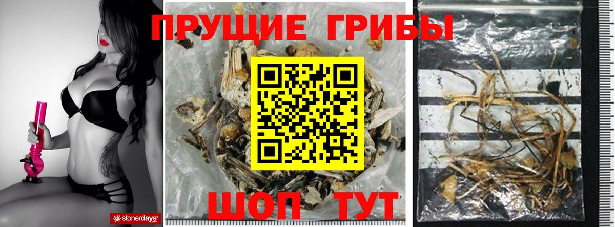 Галлюциногенные грибы Magic Shrooms  Вход с VPN  Энгельс 